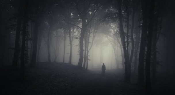 Hutan Angker di Dunia—Misteri Gelap yang Bikin Merinding